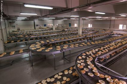 Bakeries & tortilla manufacturing, except retail bakeries